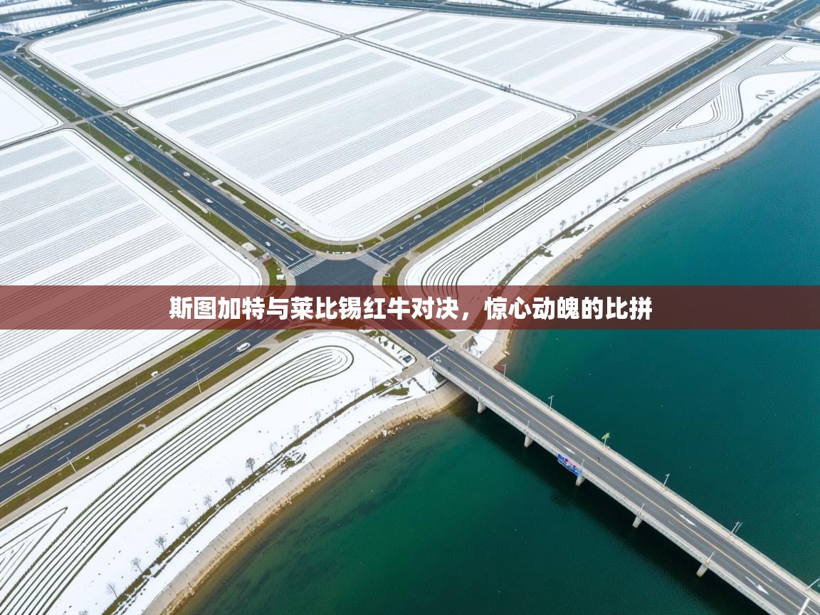 斯图加特与莱比锡红牛对决,惊心动魄的比拼 第1张