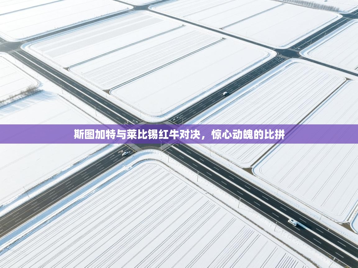 斯图加特与莱比锡红牛对决,惊心动魄的比拼 第2张