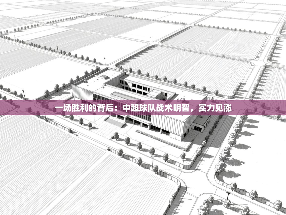 一场胜利的背后：中超球队战术明智，实力见涨  第1张
