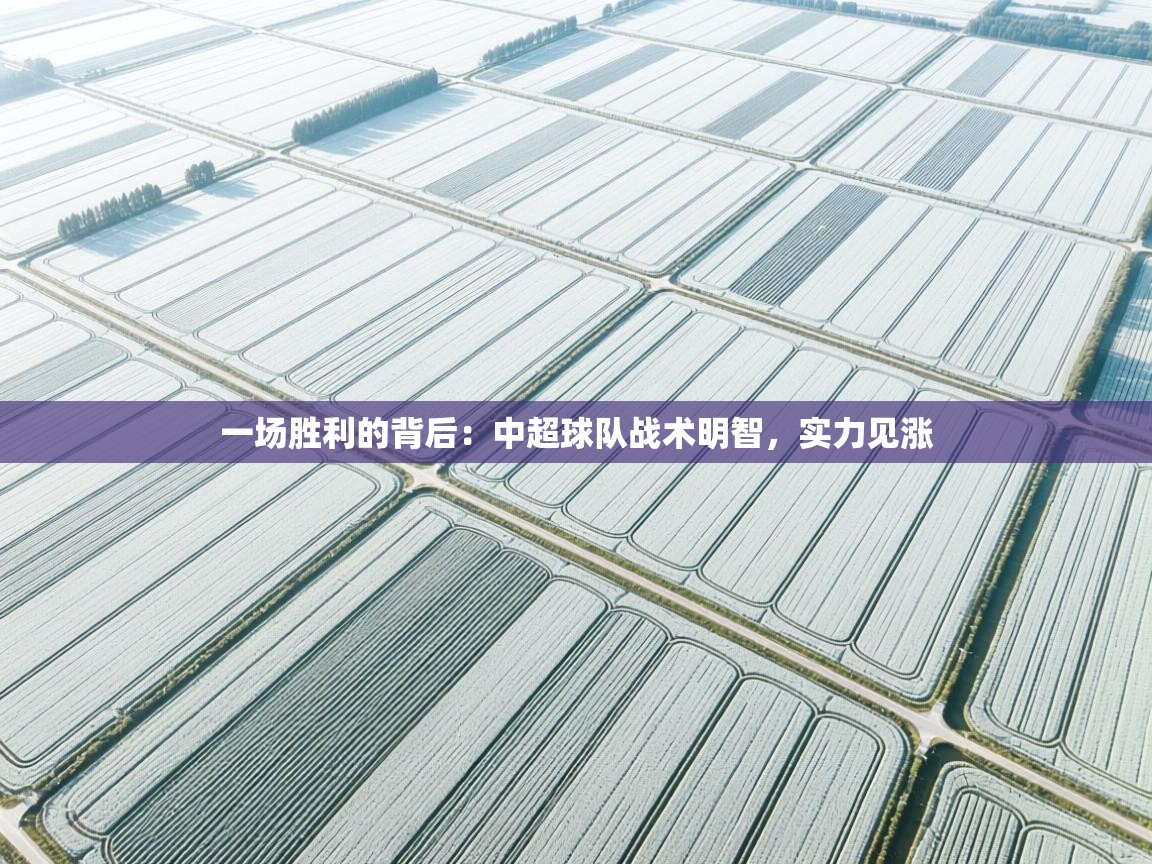 一场胜利的背后：中超球队战术明智，实力见涨  第2张