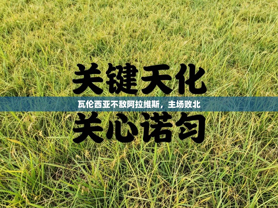 瓦伦西亚不敌阿拉维斯，主场败北  第1张