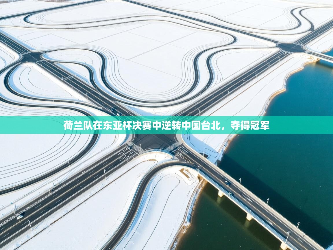 荷兰队在东亚杯决赛中逆转中国台北，夺得冠军  第2张