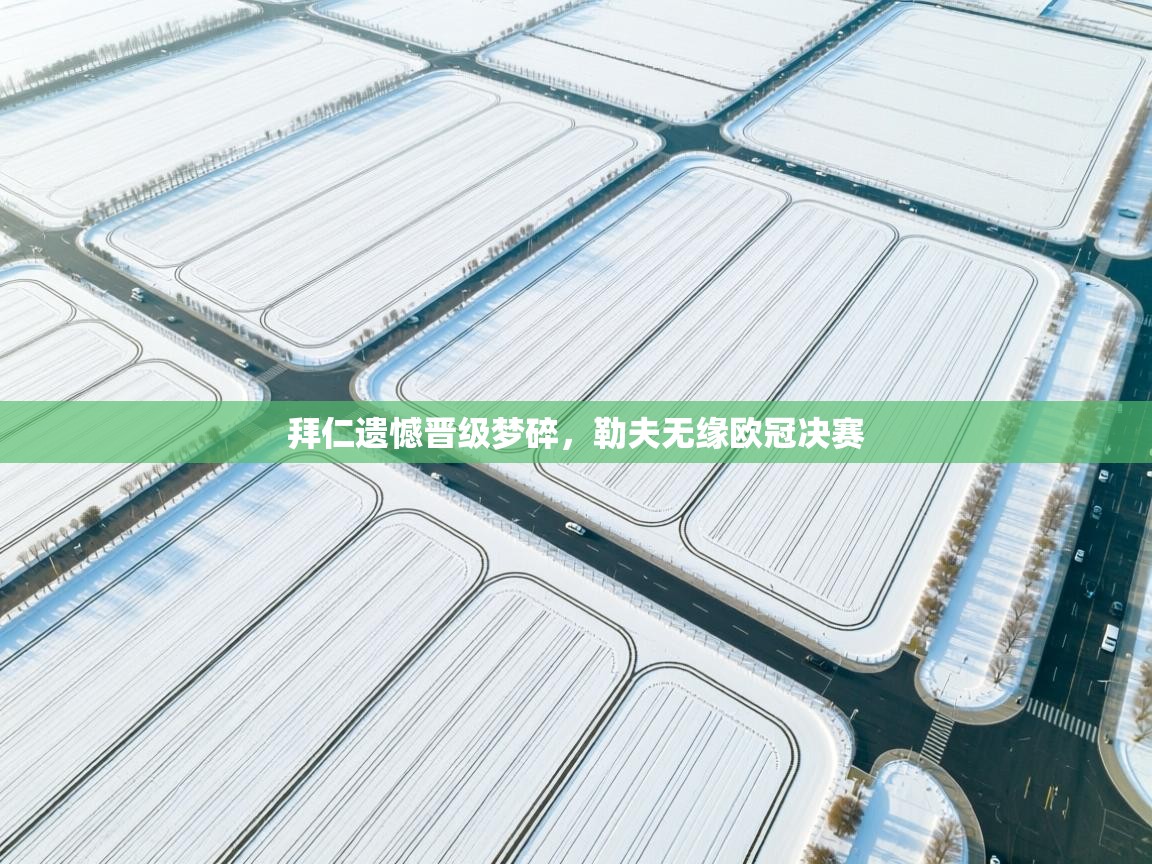 拜仁遗憾晋级梦碎,勒夫无缘欧冠决赛 第2张