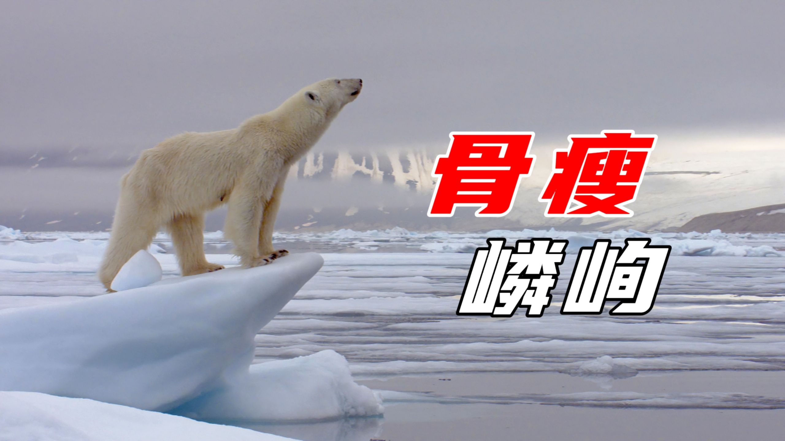 米乐官网-灰熊遭遇困境，连败希望渺茫难以挽回的简单介绍